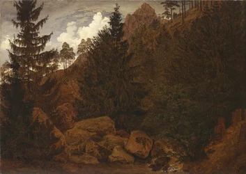 Felspartie im Harz
